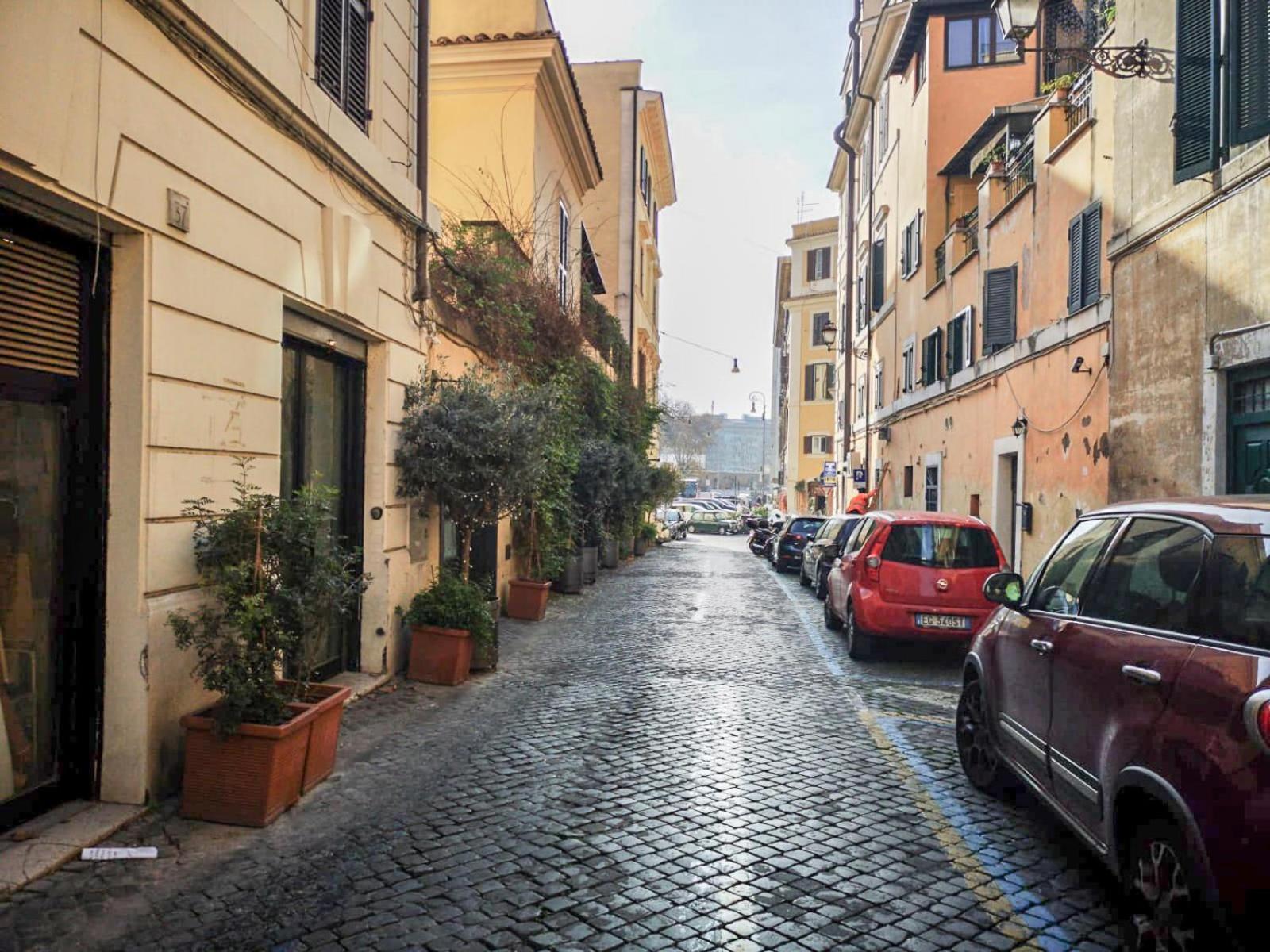 Flatinrome Trastevere Deluxe Rooms - Green Patio Exteriér fotografie
